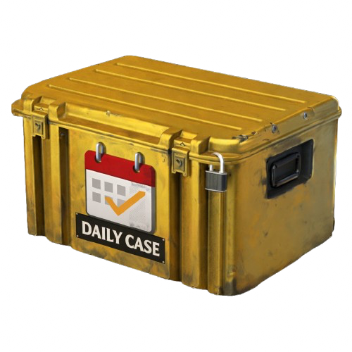 Ежедневыный Кейс